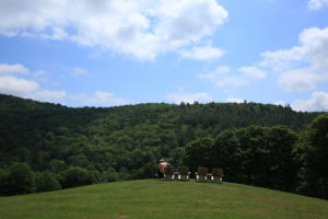 2L0A0623